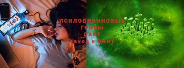 apvp Арсеньев