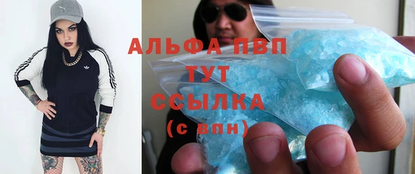 дживик Аркадак