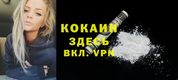 дживик Аркадак