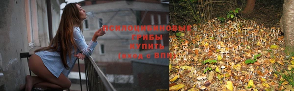 дживик Аркадак